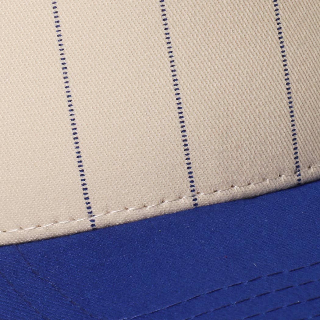 Two-Tone Pinstripe Canvas Trucker Hat: BLK / One Size
